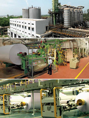 Andhra Paper Limited